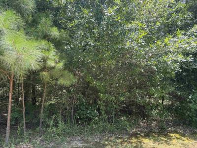 TBD Snider Road