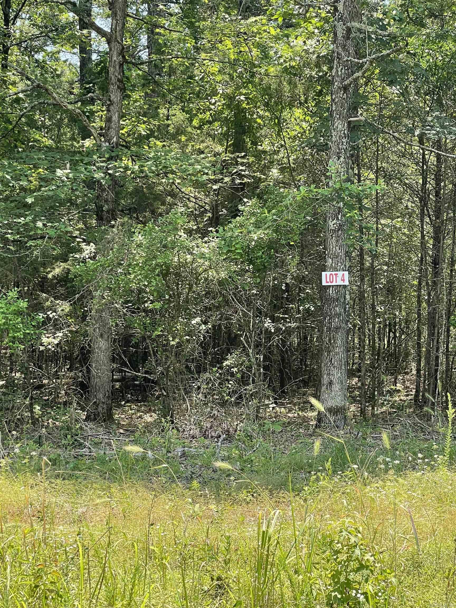 Image 1: Image 1