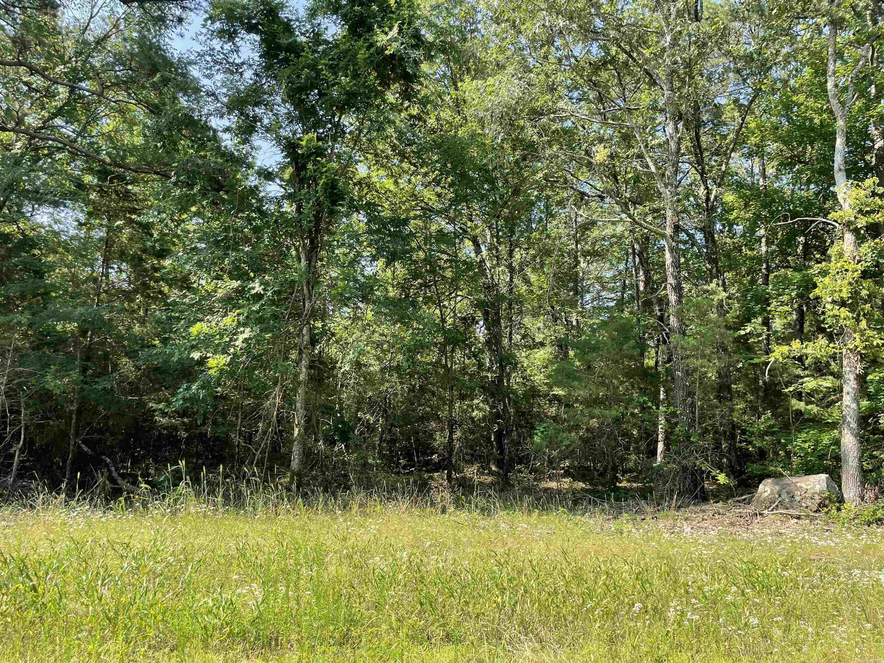 Image 4: Image 4