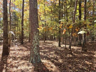 Lot 149 Grenada Circle