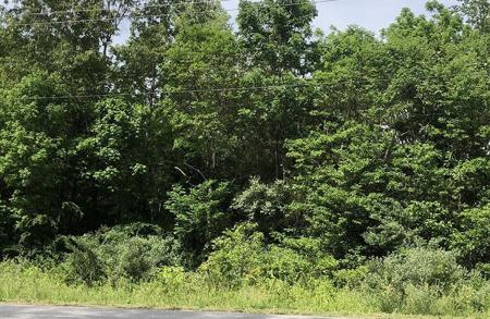 Quanah Drive