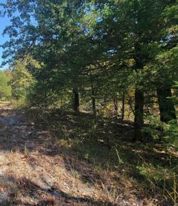 Part 16/2 Timberlane Drive