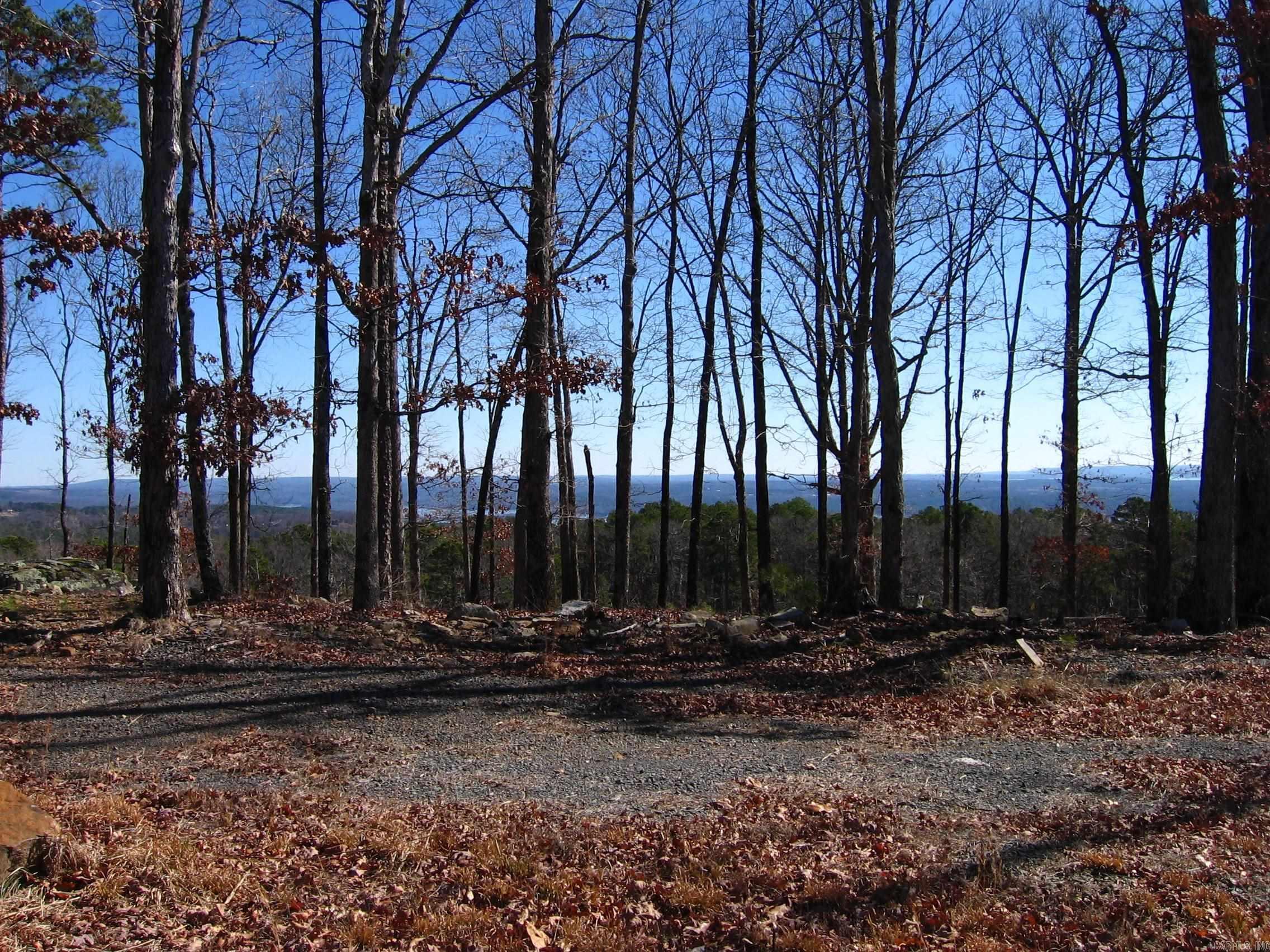 Image 4: Image 4