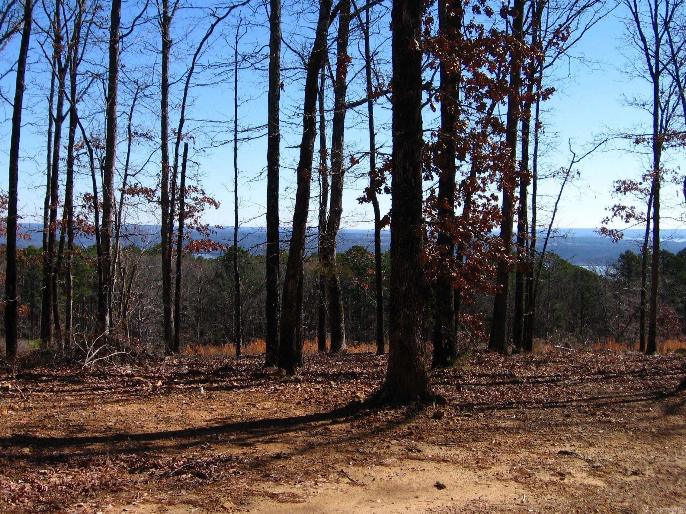 Image 3: Image 3
