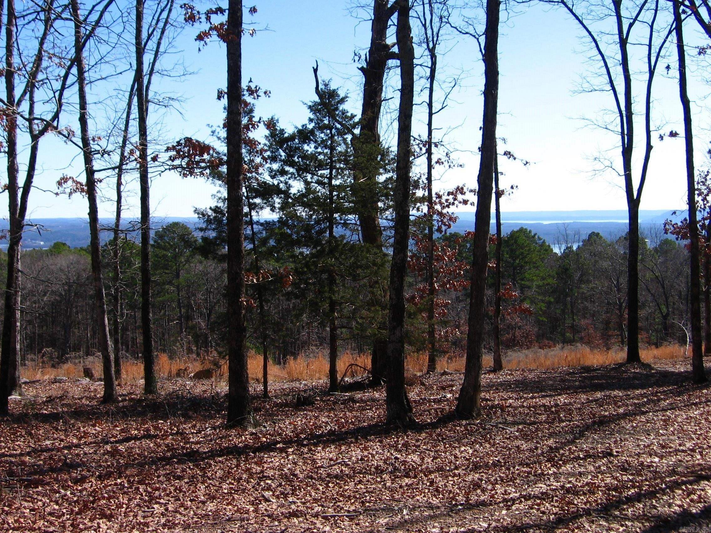 Image 4: Image 4