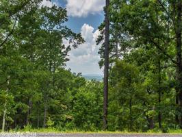24 Southridge Dr.
