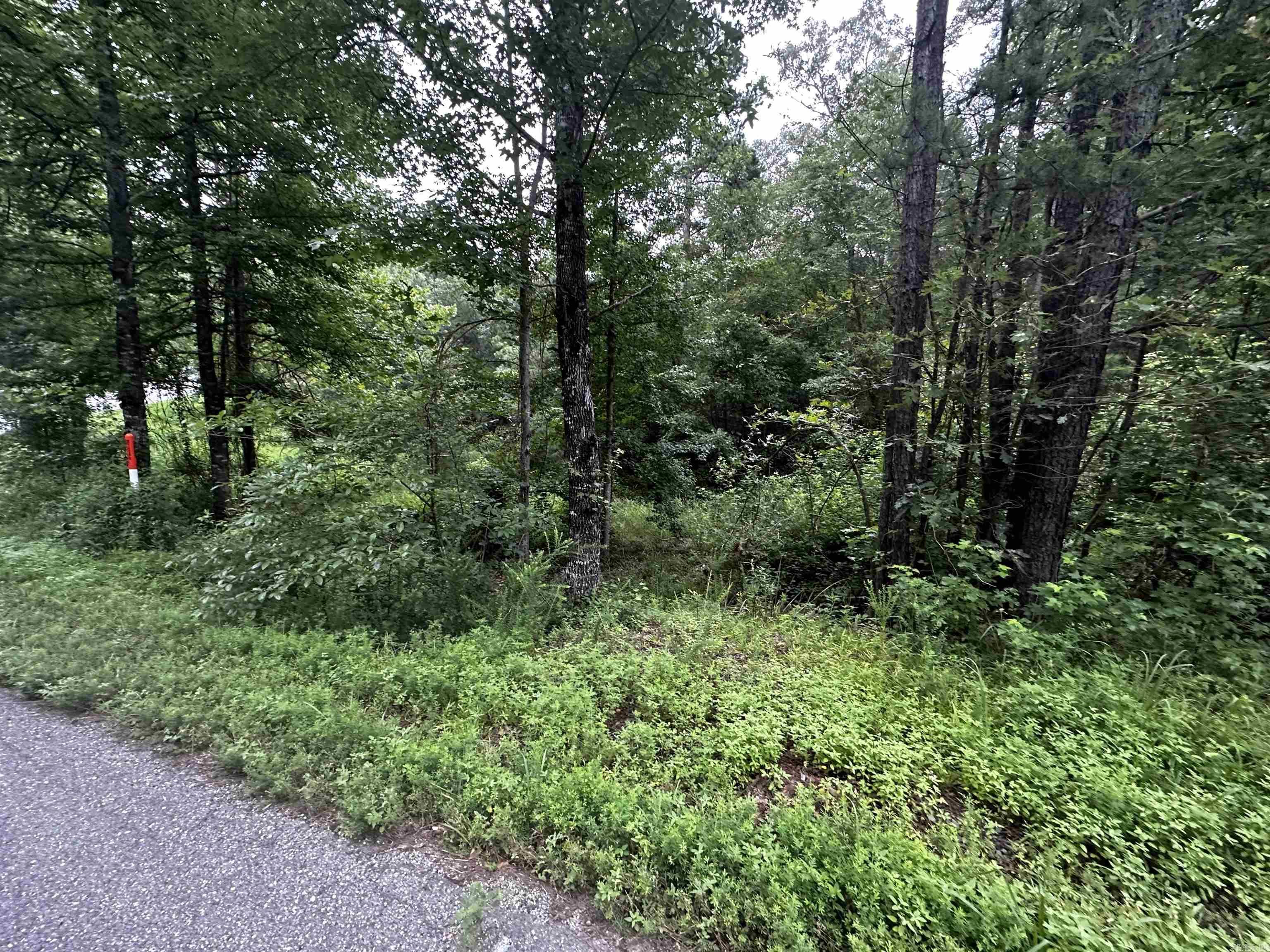 Image 3: Image 3