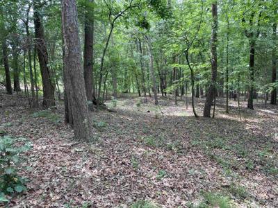 0 Woodland W