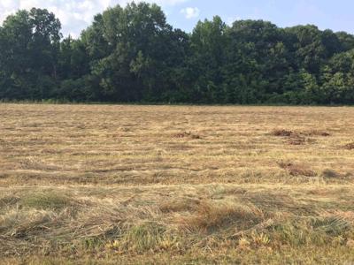 Lot 74 Mound View Drive