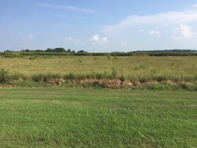 Lot 31 Toltec Mounds Road