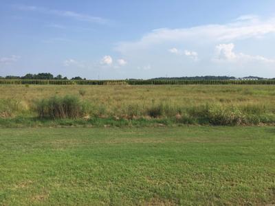Lot 32 Toltec Mounds Road