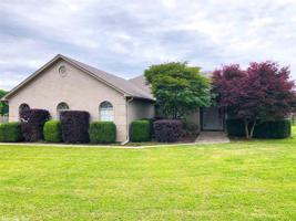 11806 Willow