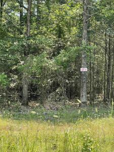 Lot 4 Pleasant Ridge Road