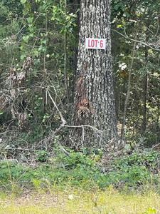 Lot 6 Pleasant Ridge Road