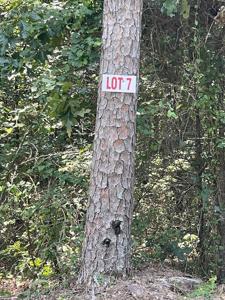 Lot 7 Pleasant Ridge Road