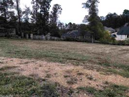 LOT 19 PALM BEACH