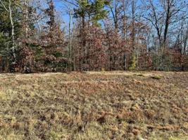 TBD Tract #2 Highway 270 East