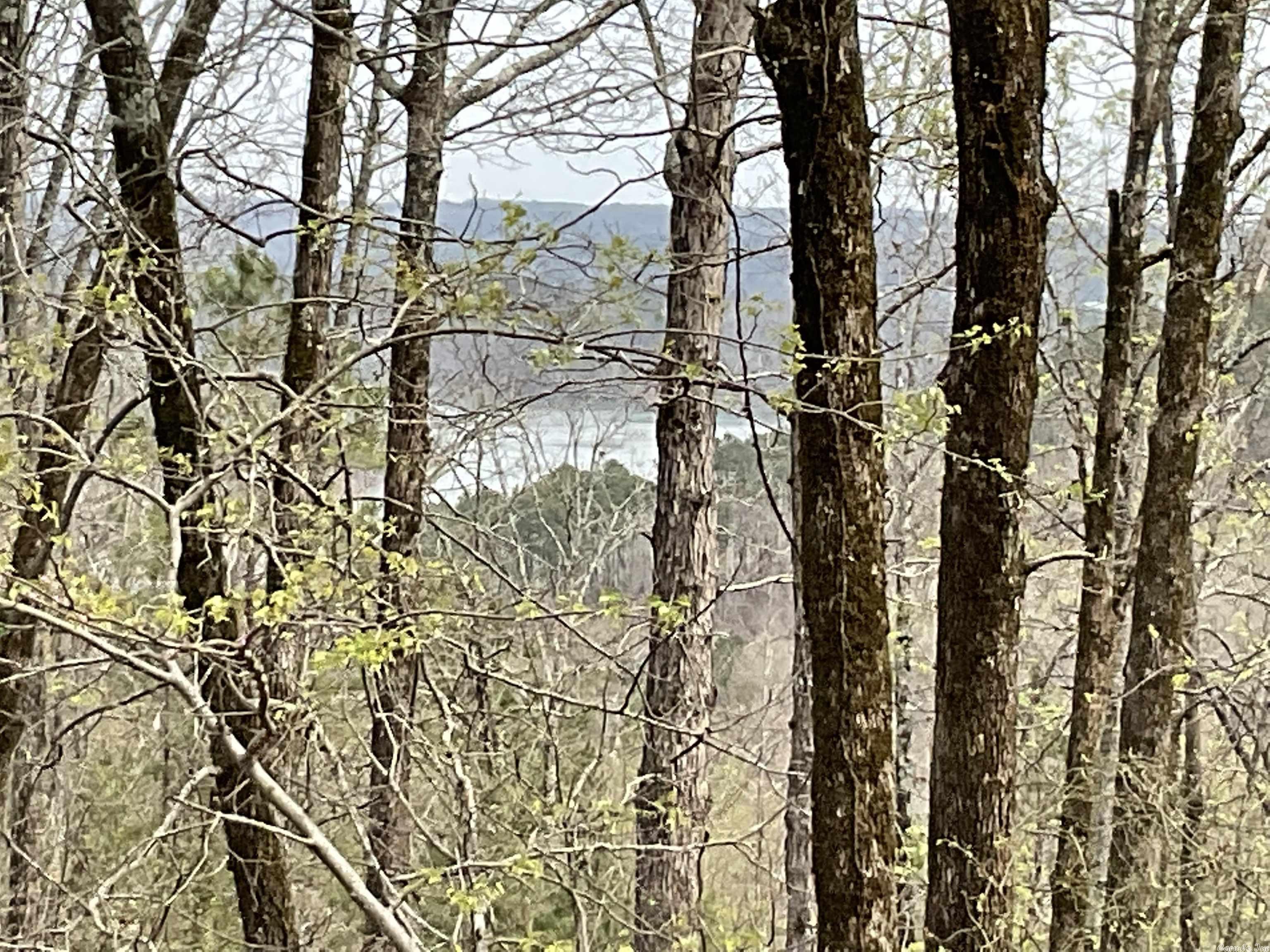 Watersedge Dr, Greers Ferry, AR lhrmls01169209