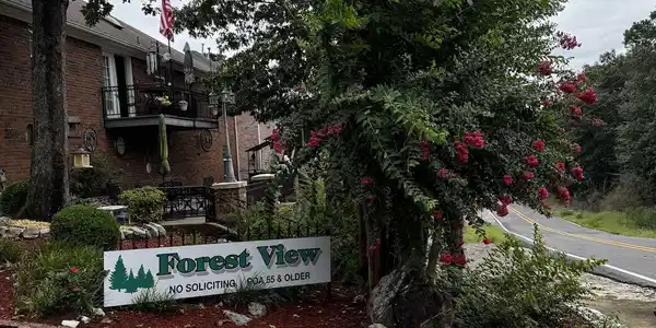 Lot 31 Forest View Circle