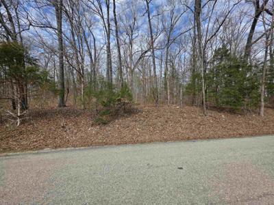 L-13 B-2 Robin Hood Lane