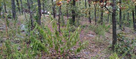 20524 River View Dr.