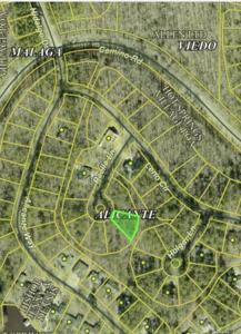 5 Paella Lane