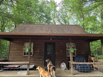 249 Mud Cat Road