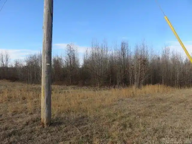 Image 1: Image 1