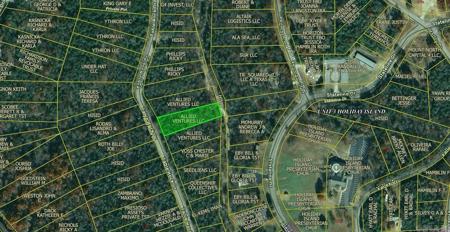 Lot 2 Table Rock Drive