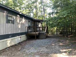 17 Loblolly