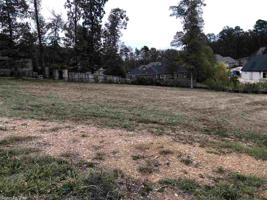 LOT 19 PALM BEACH