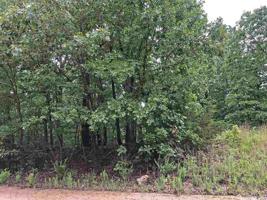 1114 S Diamond Lake
