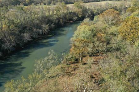 000 Cedar Glade