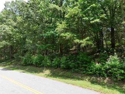 Lot 24 Mountain Ranch Drive