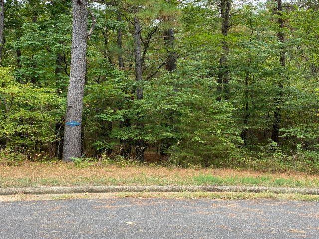 Image 1: Image 1
