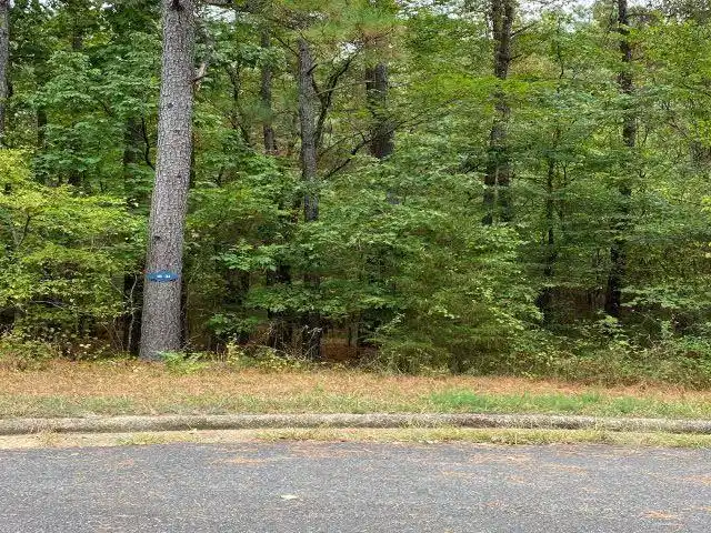 Image 1: Image 1