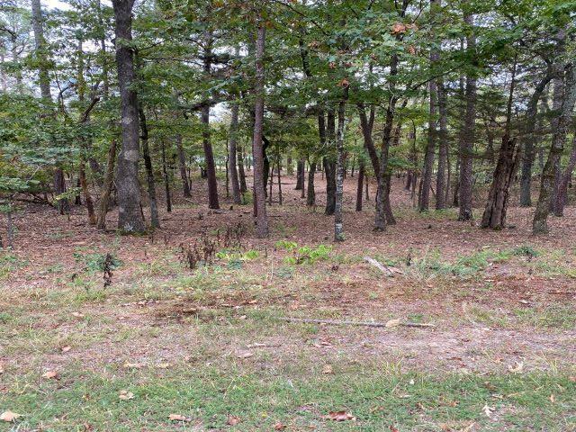 Image 1: Image 1