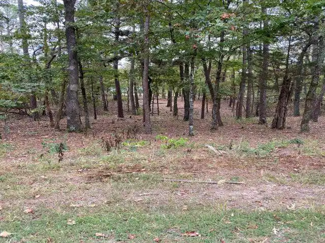 Image 1: Image 1
