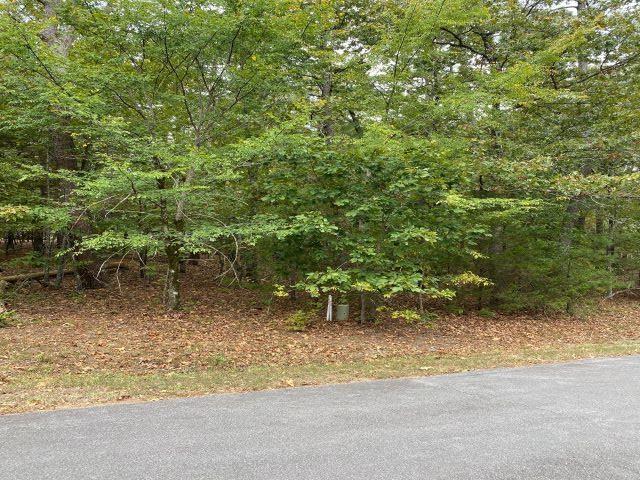 Image 1: Image 1