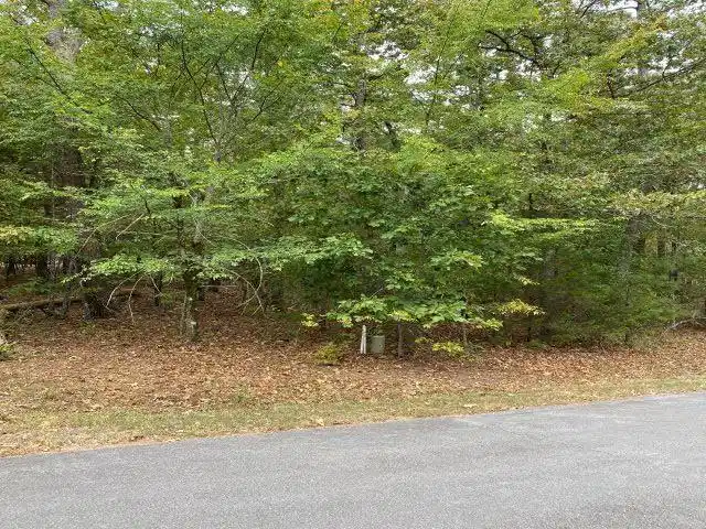 Image 1: Image 1