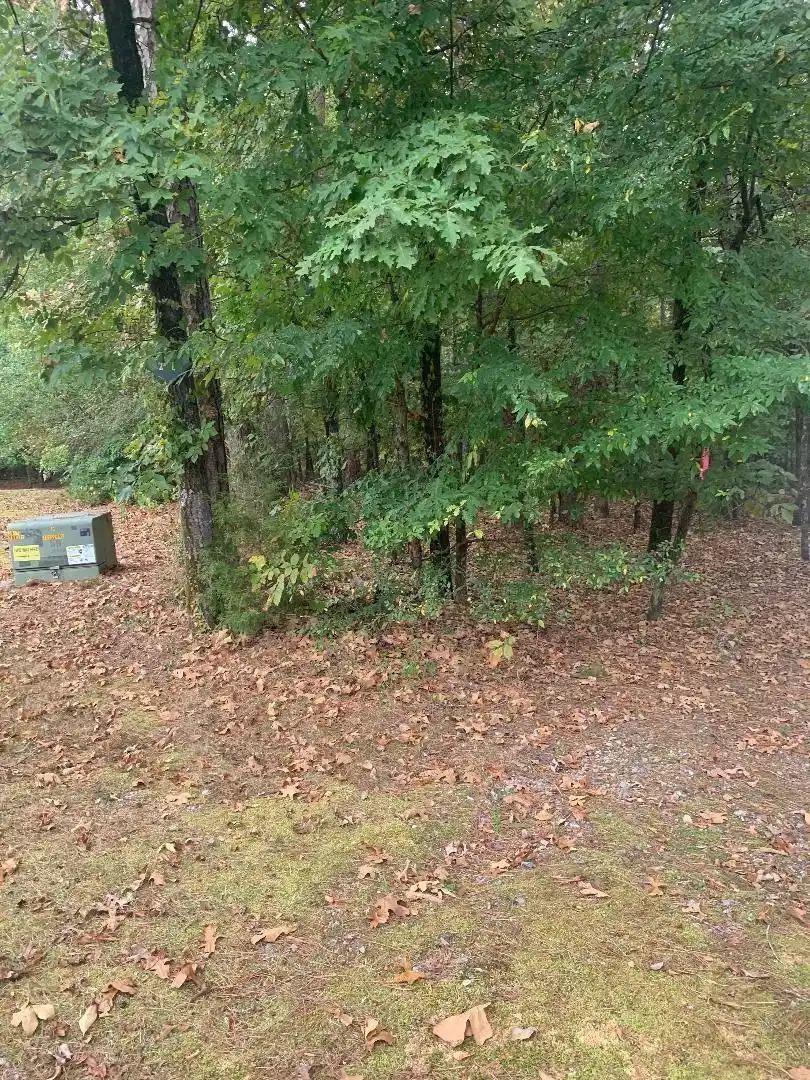 Image 1: Image 1