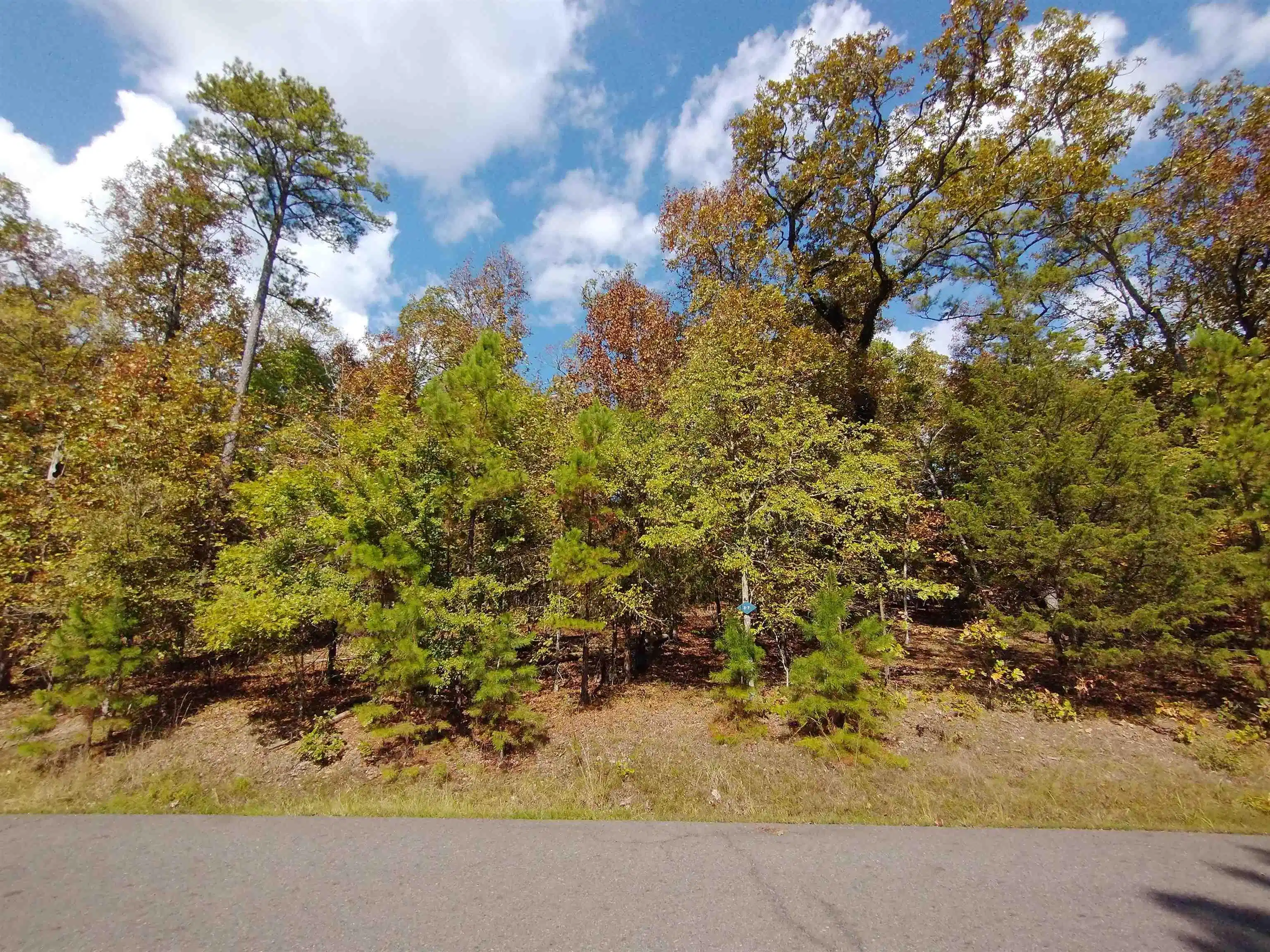 Image 1: Image 1