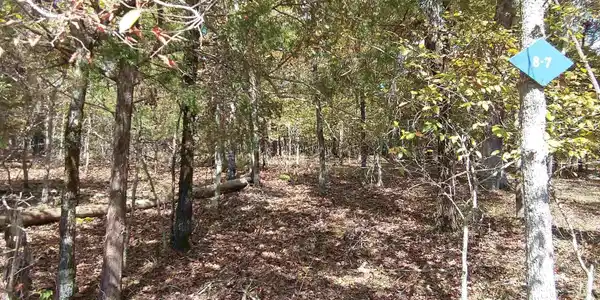 Image 2: Image 2