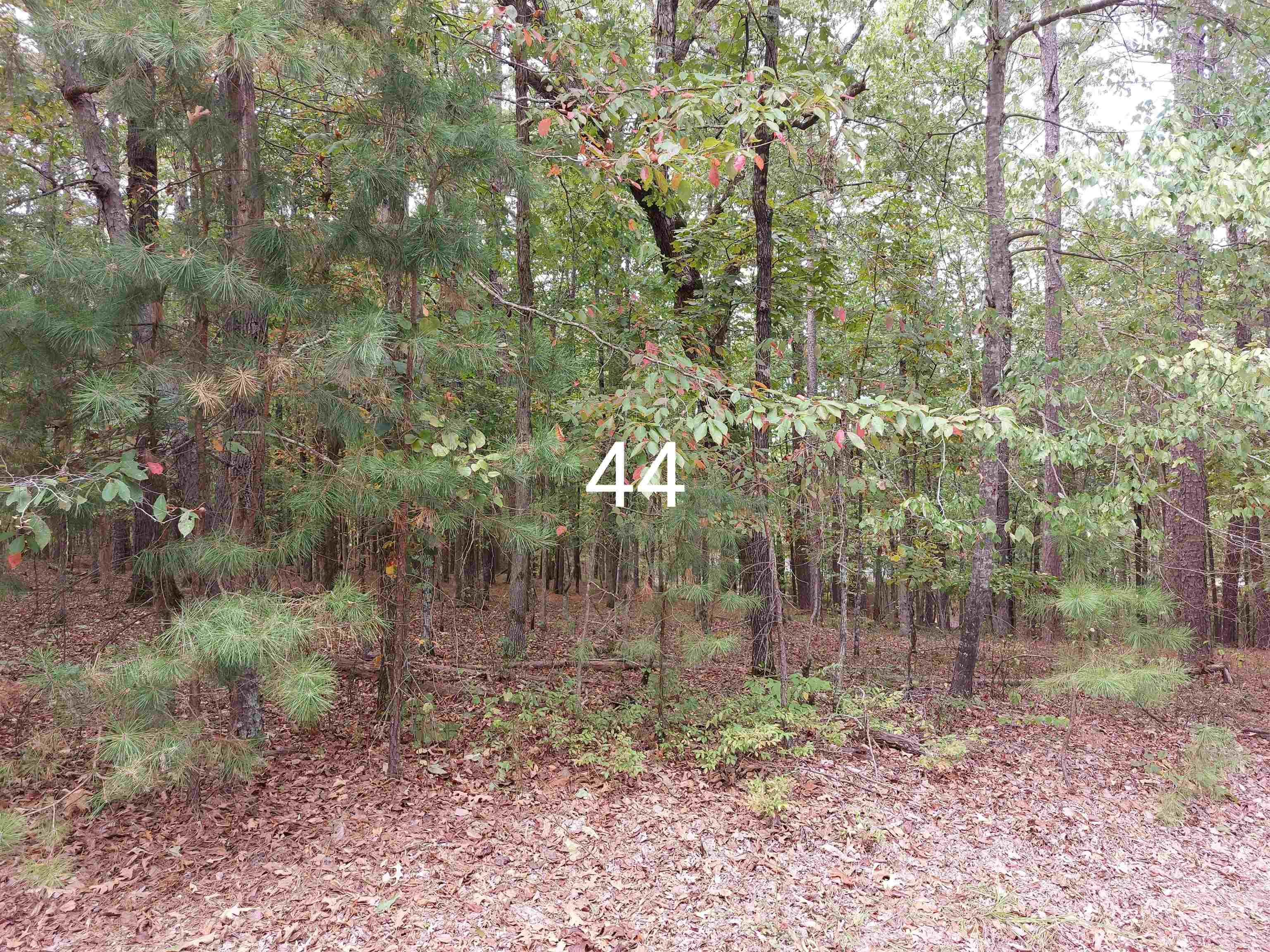 Image 1: Image 1