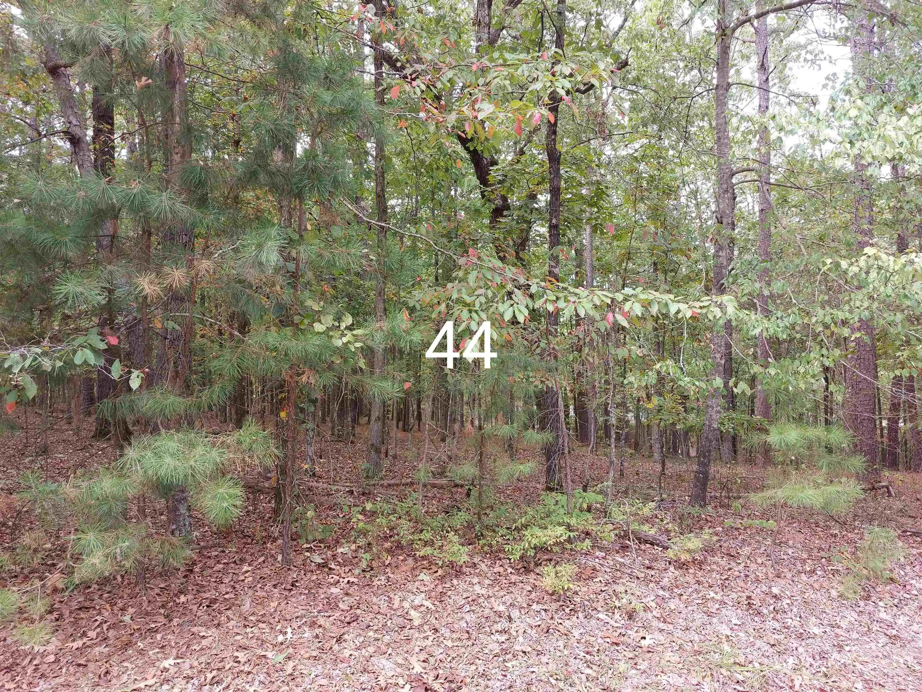 Image 1: Image 1