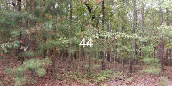 44 Granada Drive