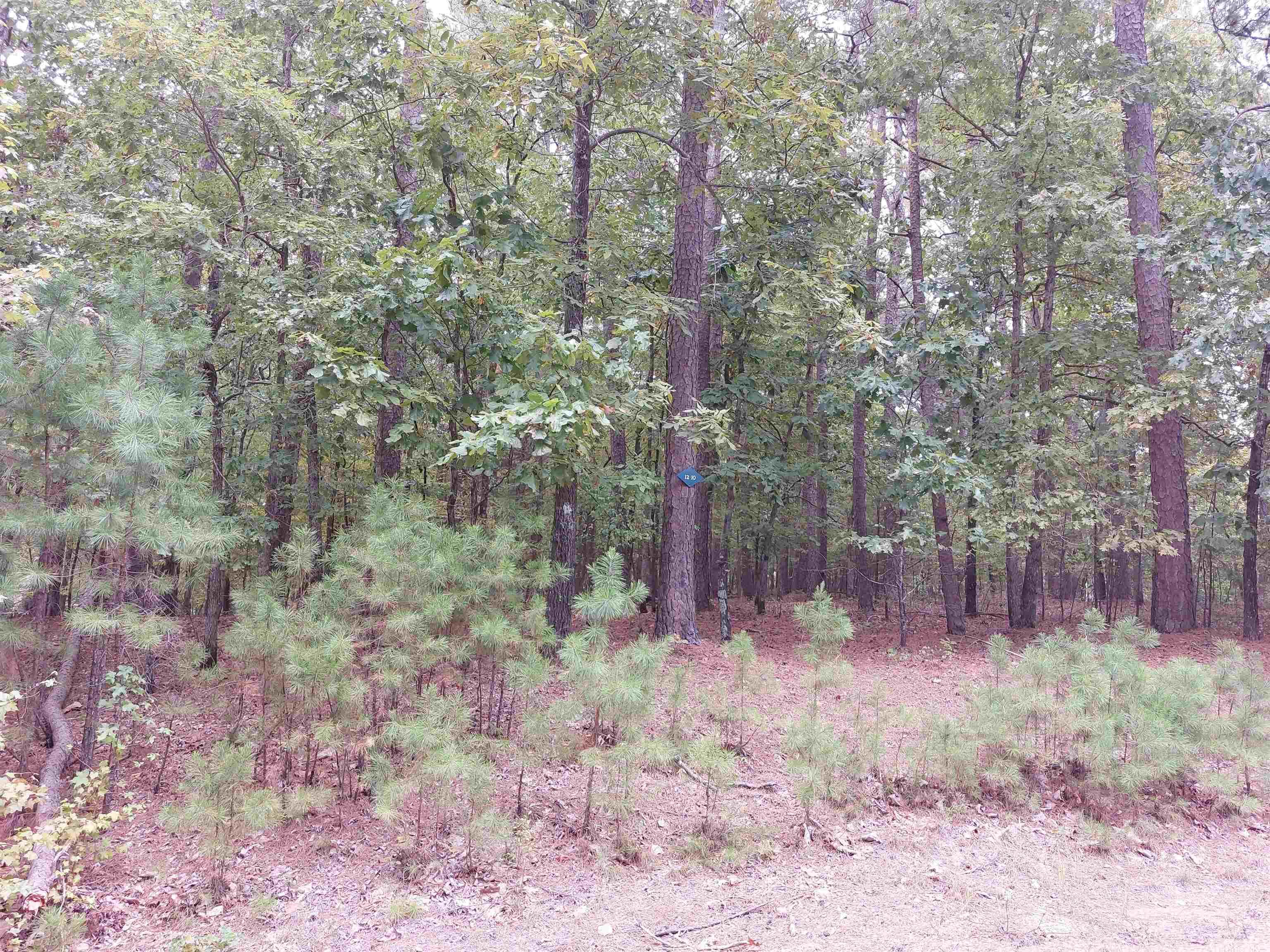 Image 1: Image 1