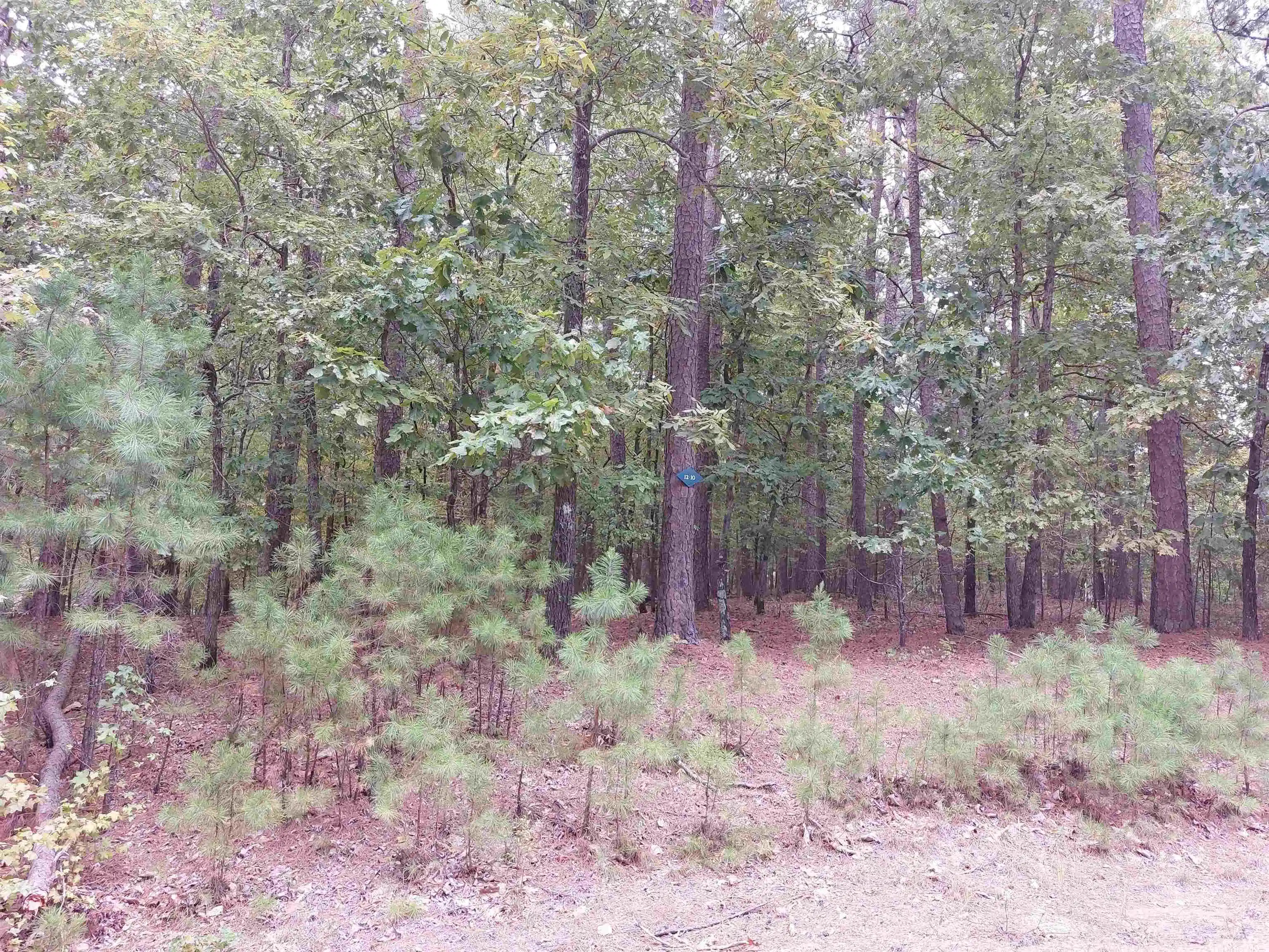 Image 1: Image 1