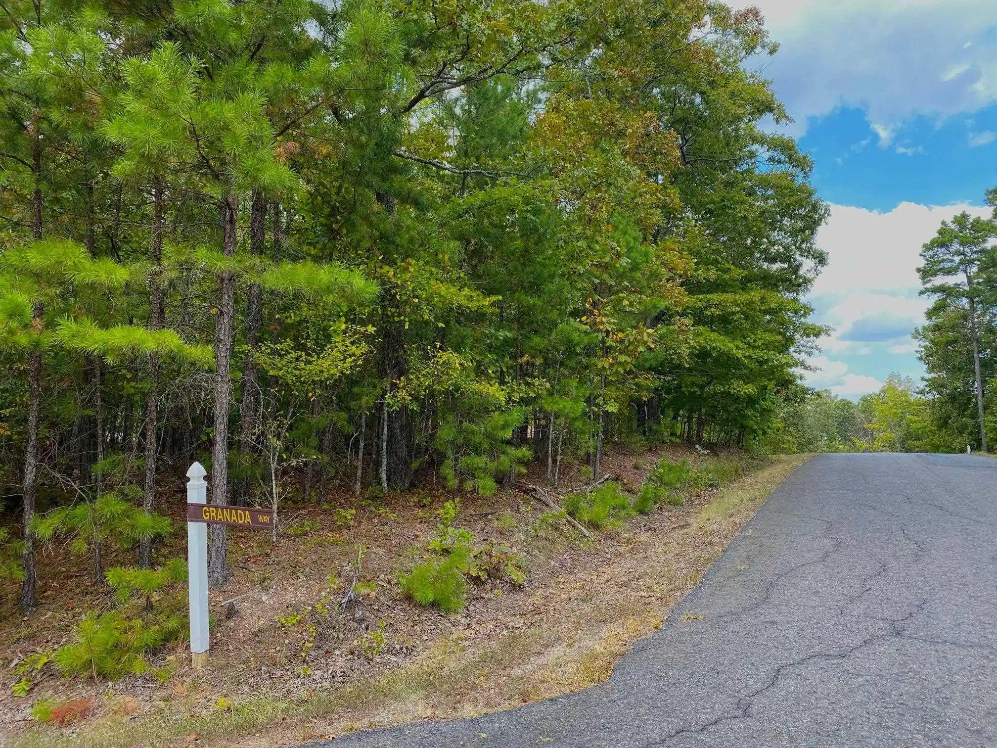 Image 1: Image 1
