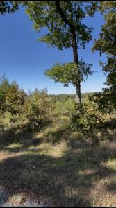 Lot 3318 Ohio Dr
